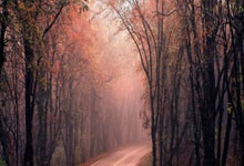 Dota2迎重量级线下赛事,冠军直通电竞世界杯,奖金太丰厚!.