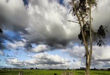 斯基拉:曼联、阿森纳、利物浦、切尔西关注伊尔迪兹.