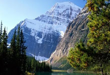 满冠体育官网:2024龙舟世界杯落幕 中国队4金5银总分第一央视新闻客户端.